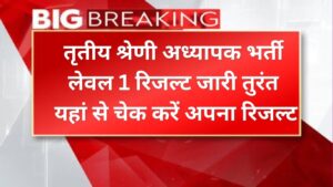 Rajasthan 3rd grade level 1 results